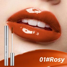 4 Colors Lip Gloss,Hydrating Lip Tint,Long Lasting Waterproof, High Shine Glossy Mirror Lip Stain, Long Lasting Moisturizing,Non Sticky, Romantic (Option: 01 Rosy)
